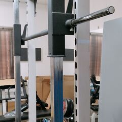 スミスマシン+プレート【引き取り限定】