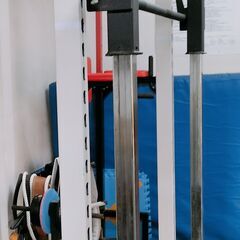 スミスマシン+プレート【引き取り限定】