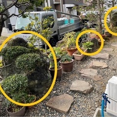 真ん中の石差し上げます。