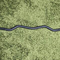 【50kgダンベル2個】EZバー5kgダンベル2個！！