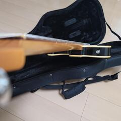 Provision telecaster