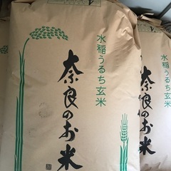令和4年収穫の米(ヒノヒカリ)