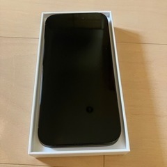 iPhone14pro 1TB