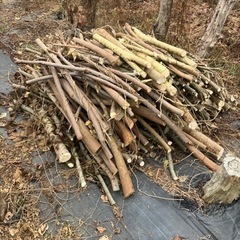 キャンプ　焚き木　薪　