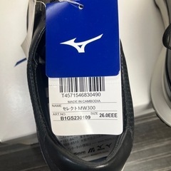 asics 安全靴 24.5cm ウォーキングシューズ