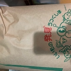 新米 令和5年産  福島県中通り産　コシヒカリ玄米30キロ