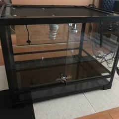 爬虫類 ケージ セット