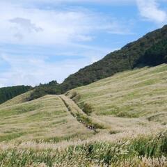 箱根　仙石原すすき草原ハイキング