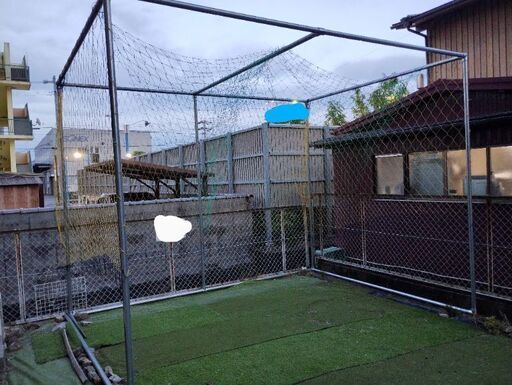 野球 サッカー ゴルフ バスケット テニス ボール競技 トレーニング