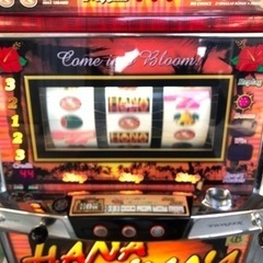 パチスロ ハナハナ HANA HANA 30パイ