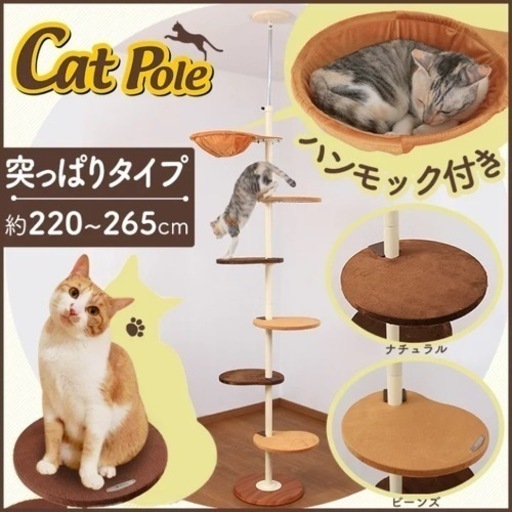 ボンビ　つっぱりキャットポール