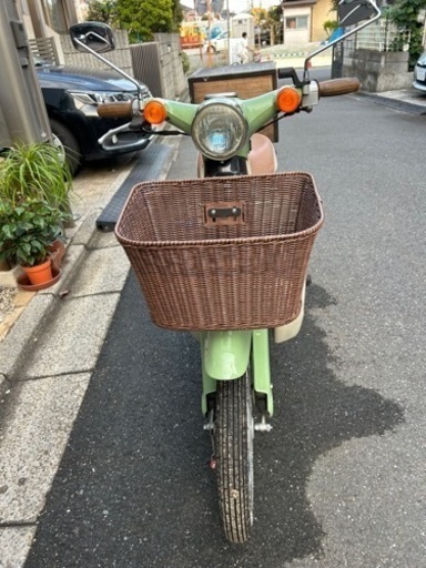 リトルカブ50