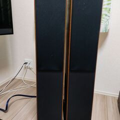 audio pro オーディオプロ AVANTO FS-20 ス...