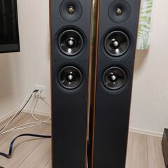 audio pro オーディオプロ AVANTO FS-20 スピーカーペア