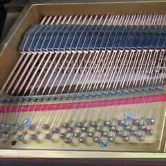 KLINGEL - KG157 3本ペダル