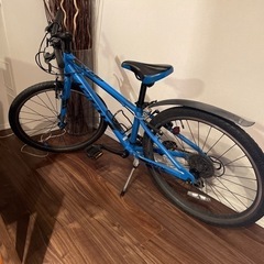 GIANT ジャイアント ジュニアバイク ARX 24 自転車 子供