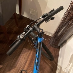 GIANT ジャイアント ジュニアバイク ARX 24 自転車 子供