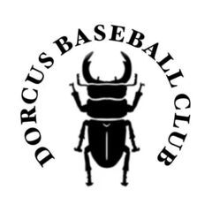ドルクス野球倶楽部という野球チームの新入団選手を募集しようと思います。