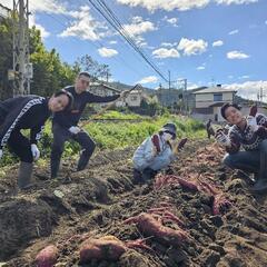 有機野菜栽培　興味ある方メンバー募集してます。