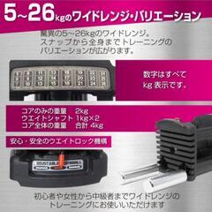 決まりました）可変式ダンベル・ベンチ・マット・懸垂器セット