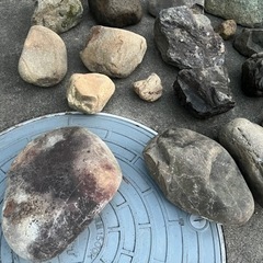 庭石　石
