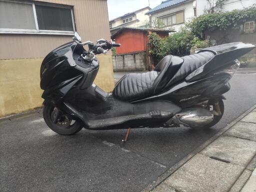 フォルツァ　実働