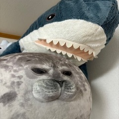 おまんじゅうアザラシユキちゃん　　IKEA サメ