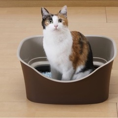 猫トイレコンパクトタイプを探してます。