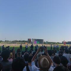 GOLDTURF−osaka−大阪🐎