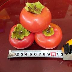 （その1）完熟柿 17個セット 富有柿 甘柿 