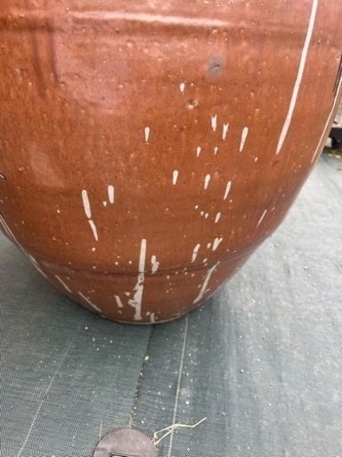 メダカ鉢 金魚鉢 鉢 睡蓮鉢 水瓶 直径55cm 大きめ