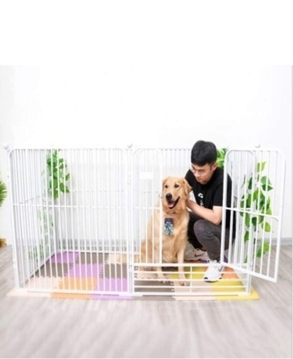 大型犬・超大型犬サークル