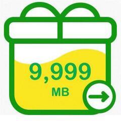 【ネット決済・配送可】mineo　パケットギフト　9999MB