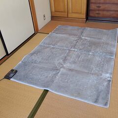 コンパクトなホットカーペット（約1.4畳のサイズ）
