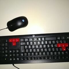 HP Mouse and Keyboard 