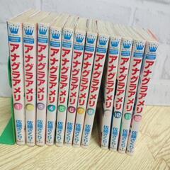 アナグラアメリ　完結　１巻〜12巻　マンガ　少女コミック