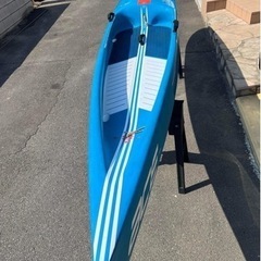 21 SATRBOARD ACE 14x24.5 CARBON