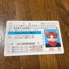 なめ猫の中古が安い！激安で譲ります・無料であげます(2ページ目