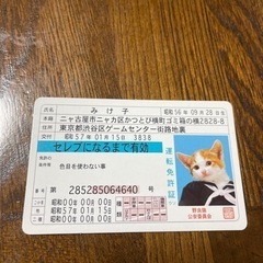 なめ猫免許証　E