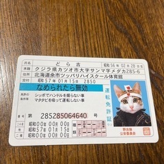 なめ猫免許証　F
