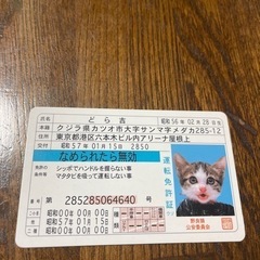なめ猫免許証　I