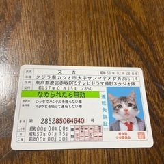 なめ猫免許証　K