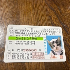 なめ猫免許証　M