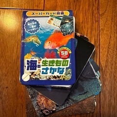 海の生き物さかな図鑑