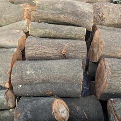 カシの玉切りです♪