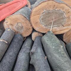 カシの玉切りです♪