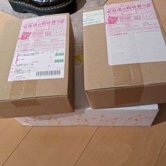 ジムセット＋レイジングサーフ＋古代の咆哮 ナンジャモ ポケモン