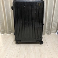 MLサイズ　スーツケース出品