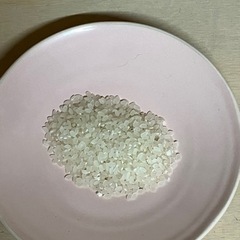 令和5年10月収穫　新米あいちのかおり　10kg単位　精米・玄米