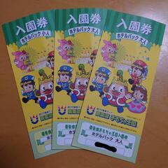 東条湖おもちゃ王国 入園券 (大人2枚、小人1枚)